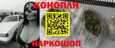 сатива Гусиноозёрск