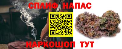 сатива Гусиноозёрск