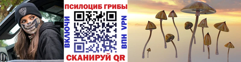 купить наркотик Сыктывкар ссылка на мегу сайт Псилоцибиновые грибы ЛСД