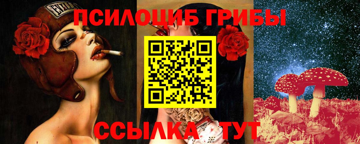 Сыктывкар  Галлюциногенные грибы Magic Shrooms  Вход с VPN  Псилоцибиновые грибы Psilocybine cubensis 